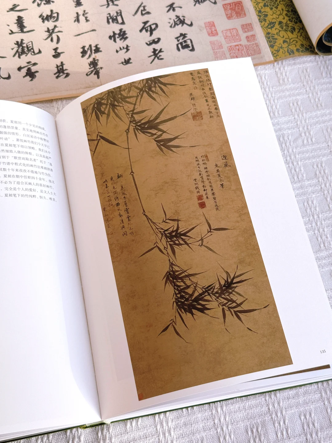 什么？🤯无尽藏降价了‼️还是现货