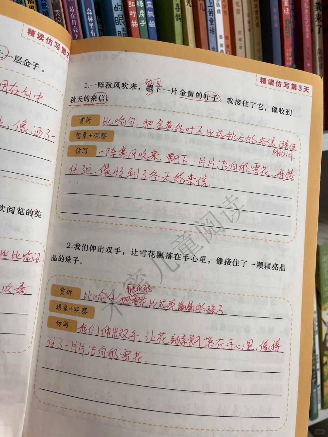 强推《鸭蛋湖系列》，送给二年级娃提写作能力