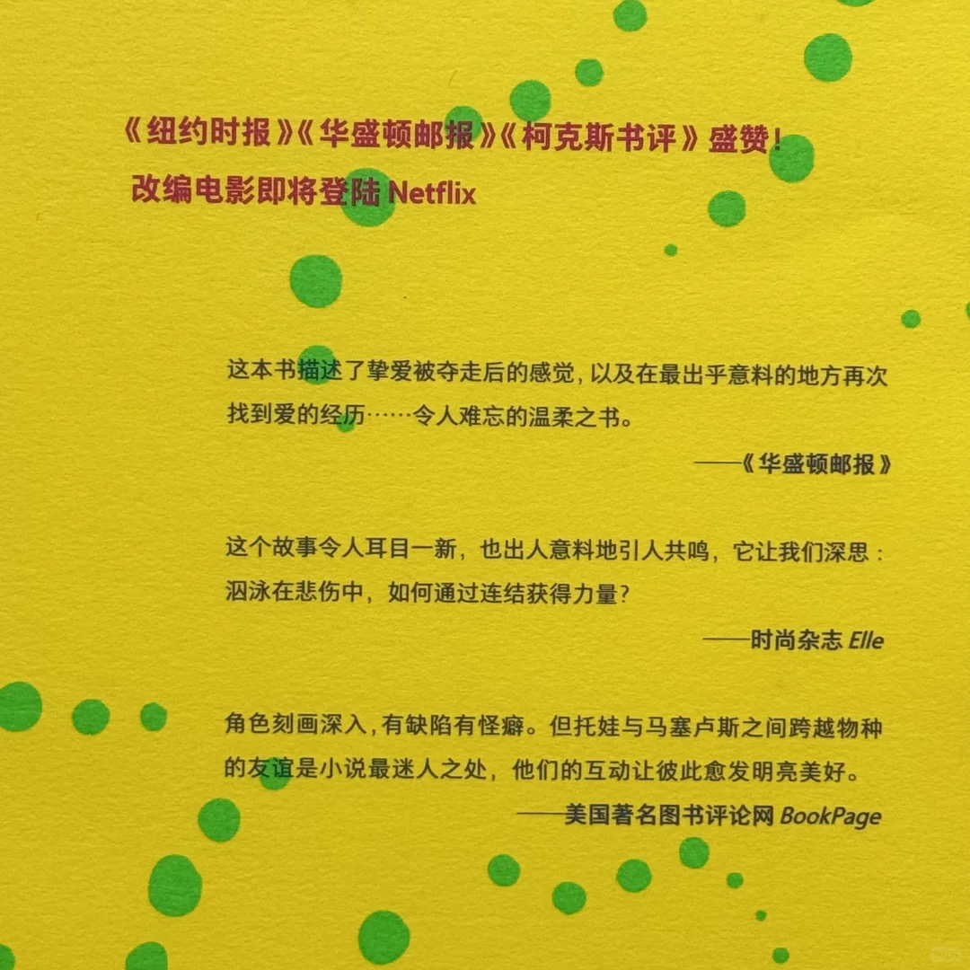 推荐近期5本新书~