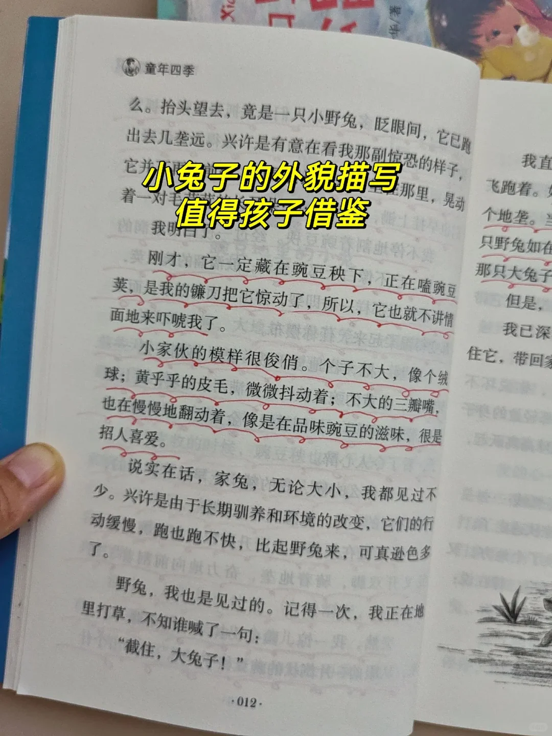 暑假精读，孩子写作飞跃！🎁