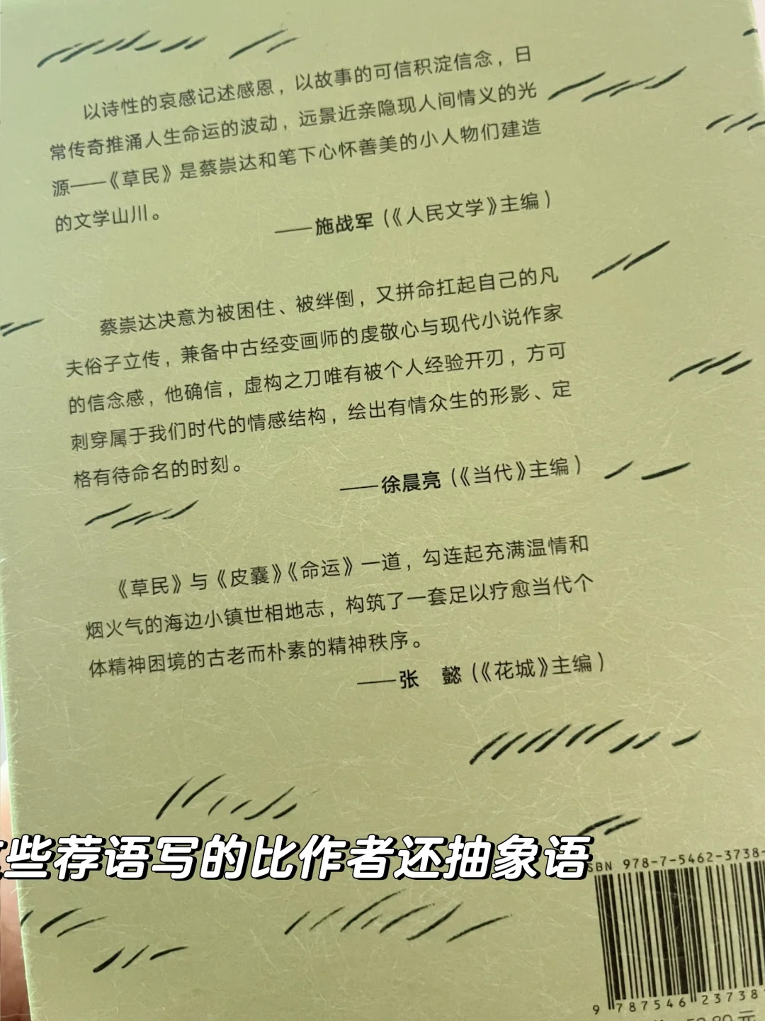一本让我感受到生理不适的书❌