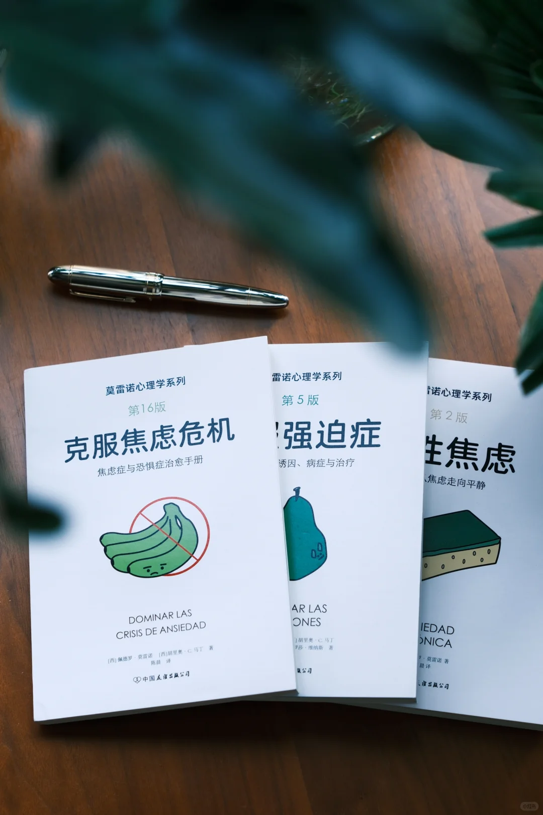 新书推荐｜《克服焦虑危机》