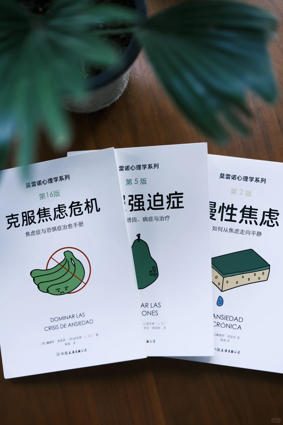 新书推荐｜《克服焦虑危机》