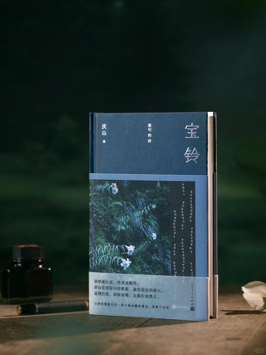 “当我清白，我会写诗” 丨庆山新书上市