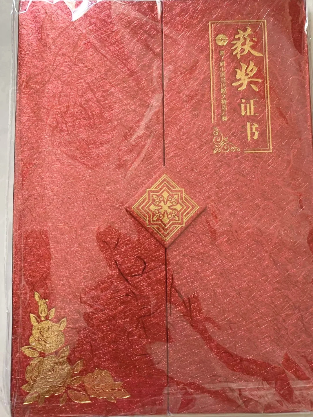 我的散文获全国三等奖和2000元出版基金