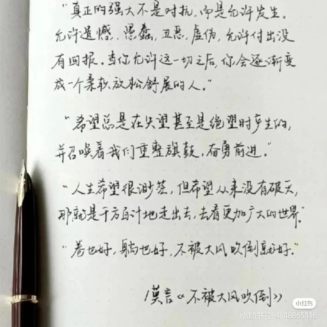 这俩故事竟让我爆哭
