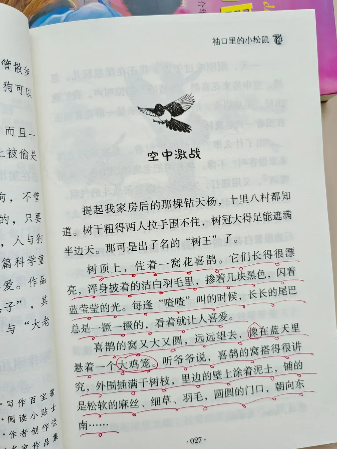 暑假精读，孩子写作飞跃！🎁