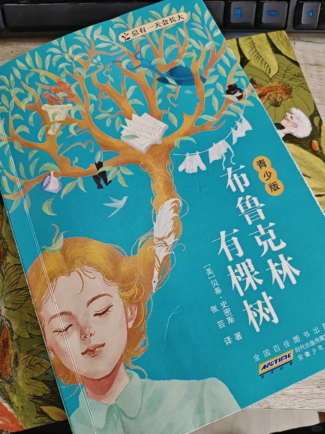 .啊啊啊啊啊！一本公版书做两年，总算出了