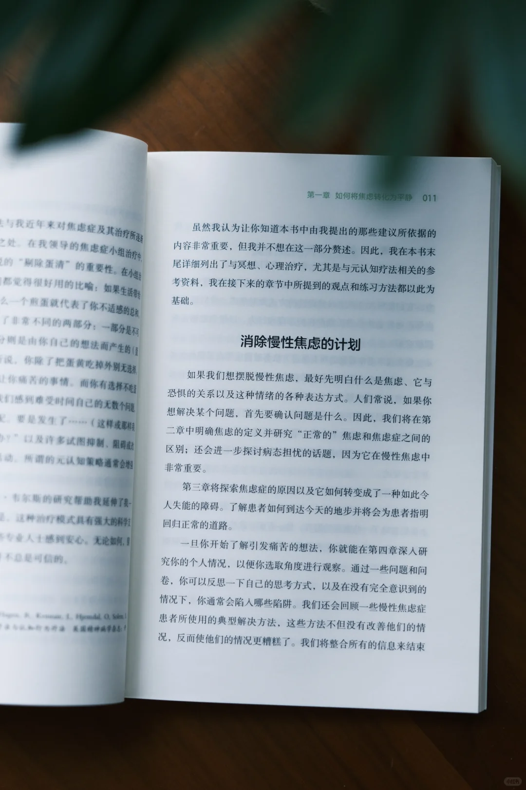 新书推荐｜《克服焦虑危机》