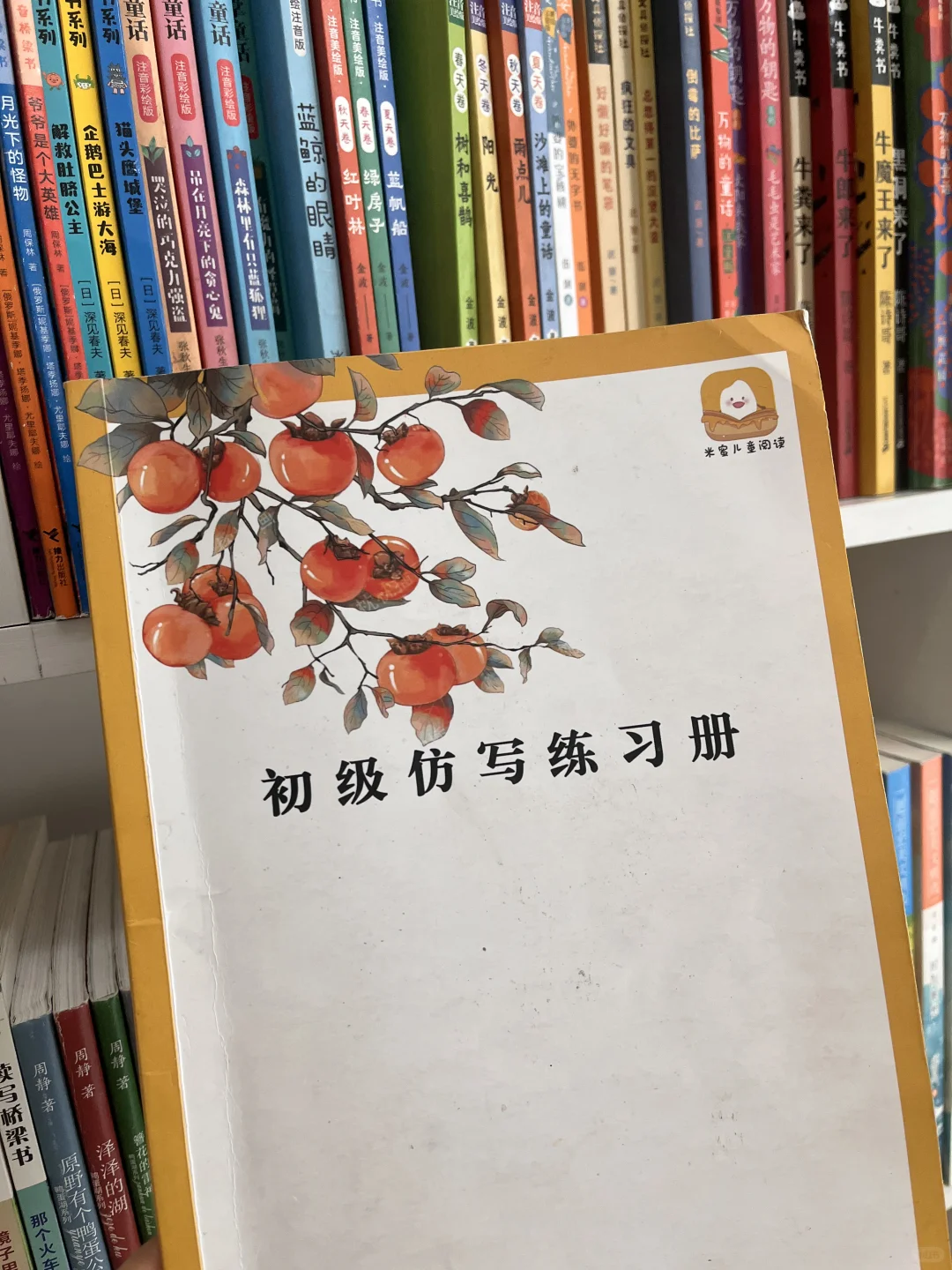 强推《鸭蛋湖系列》，送给二年级娃提写作能力
