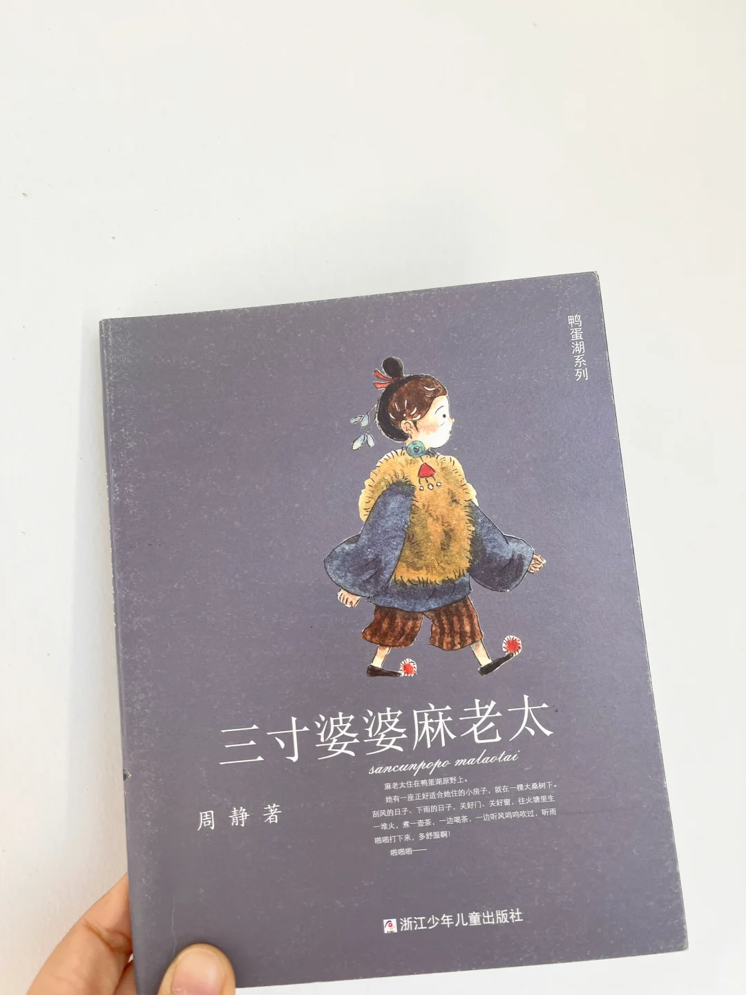 强推《鸭蛋湖系列》，送给二年级娃提写作能力