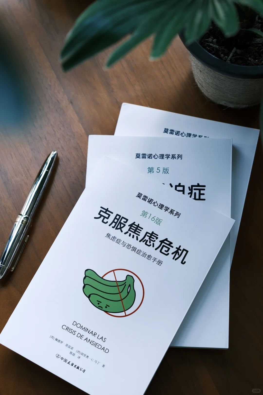 新书推荐｜《克服焦虑危机》