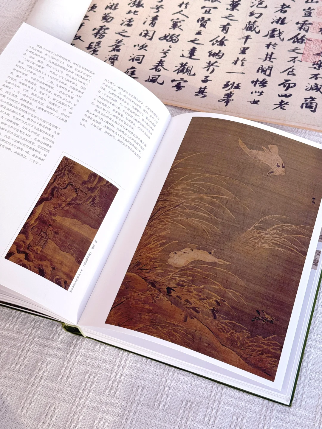 什么？🤯无尽藏降价了‼️还是现货