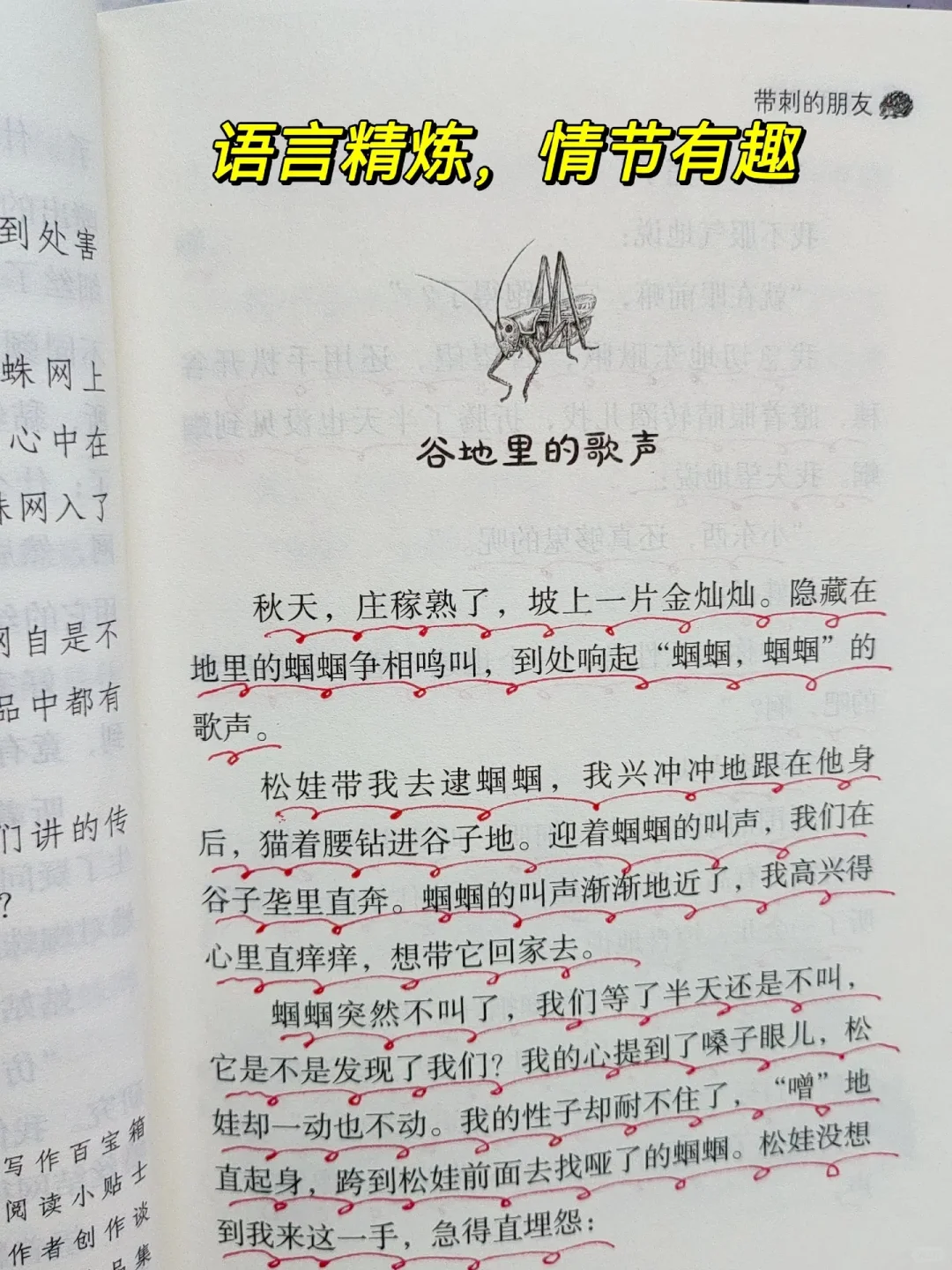 暑假精读，孩子写作飞跃！🎁
