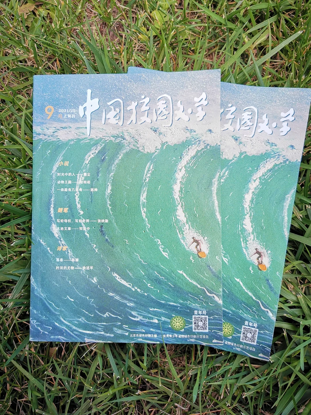 第一篇小说顺利发表，并获奖😆