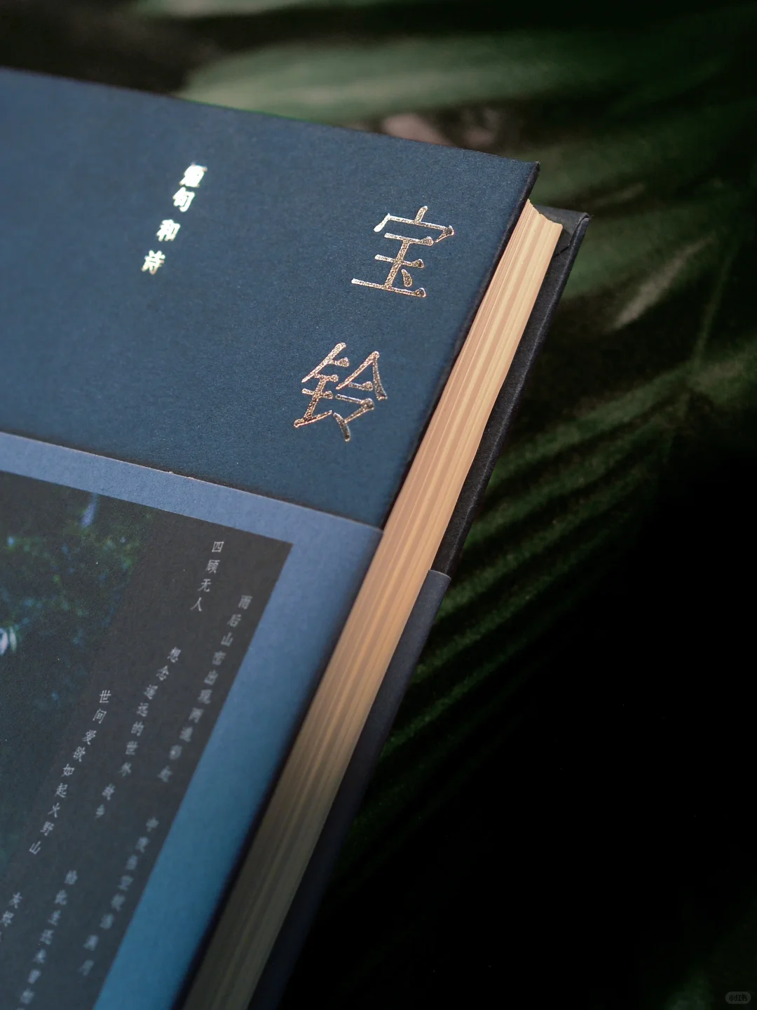 “当我清白，我会写诗” 丨庆山新书上市