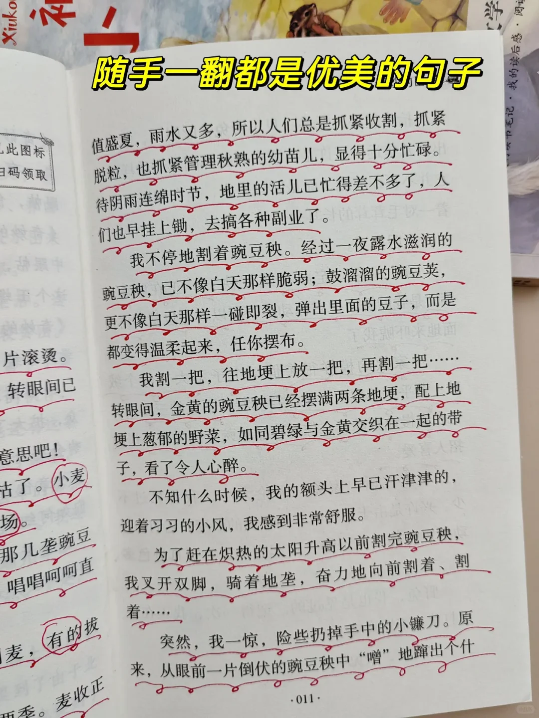 暑假精读，孩子写作飞跃！🎁