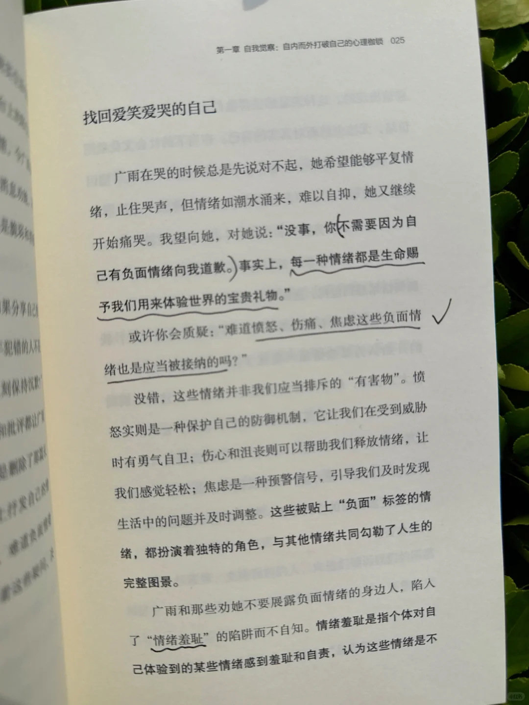 新书预告｜做自己的光 原生家庭自救指南