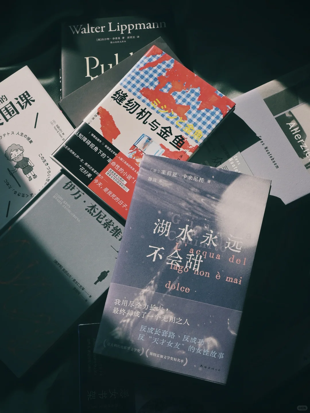 新书开箱｜阅读就是一座随身的避难所