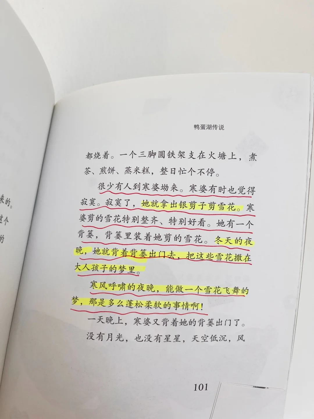 强推《鸭蛋湖系列》，送给二年级娃提写作能力