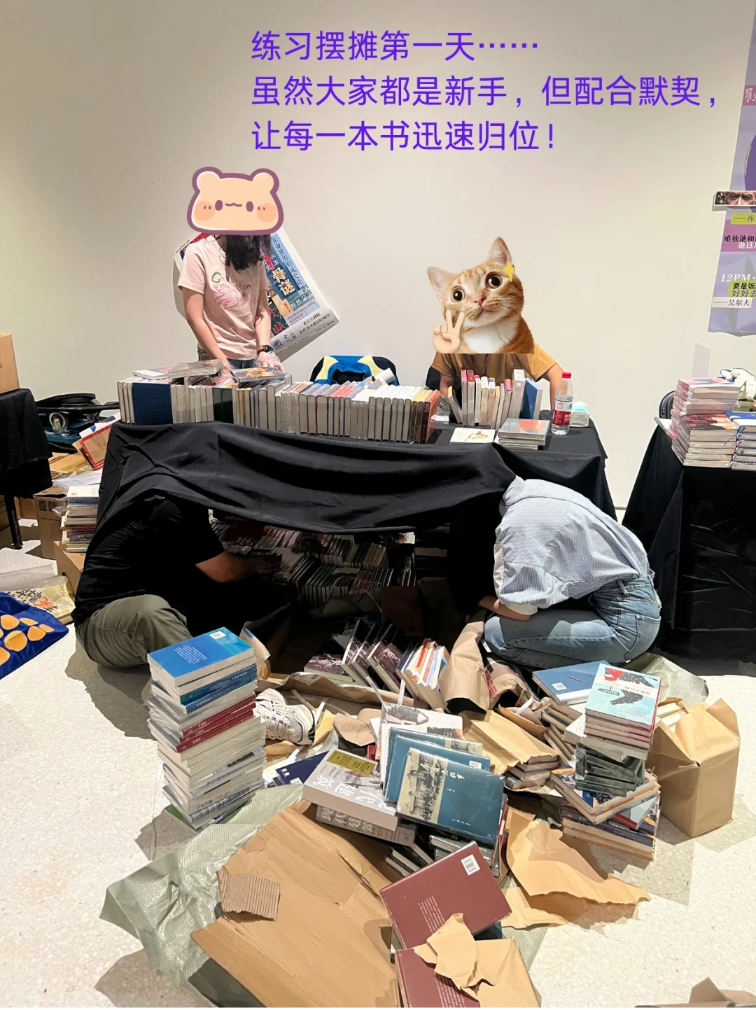 三联售罄榜！期待下次线下见面~