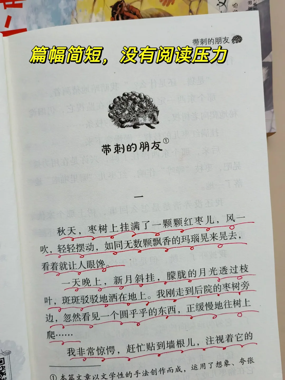 暑假精读，孩子写作飞跃！🎁