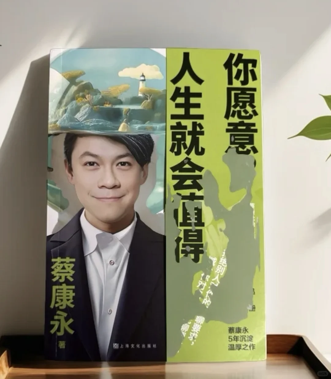 推荐一本新书