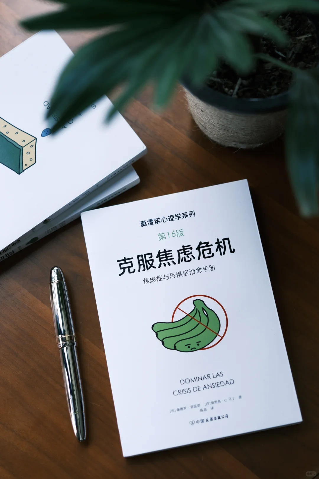 新书推荐｜《克服焦虑危机》