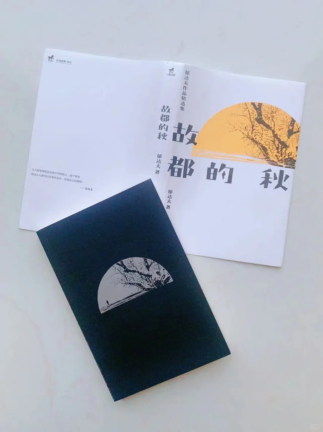 与鲁迅比肩的文学天才，值得一读再读