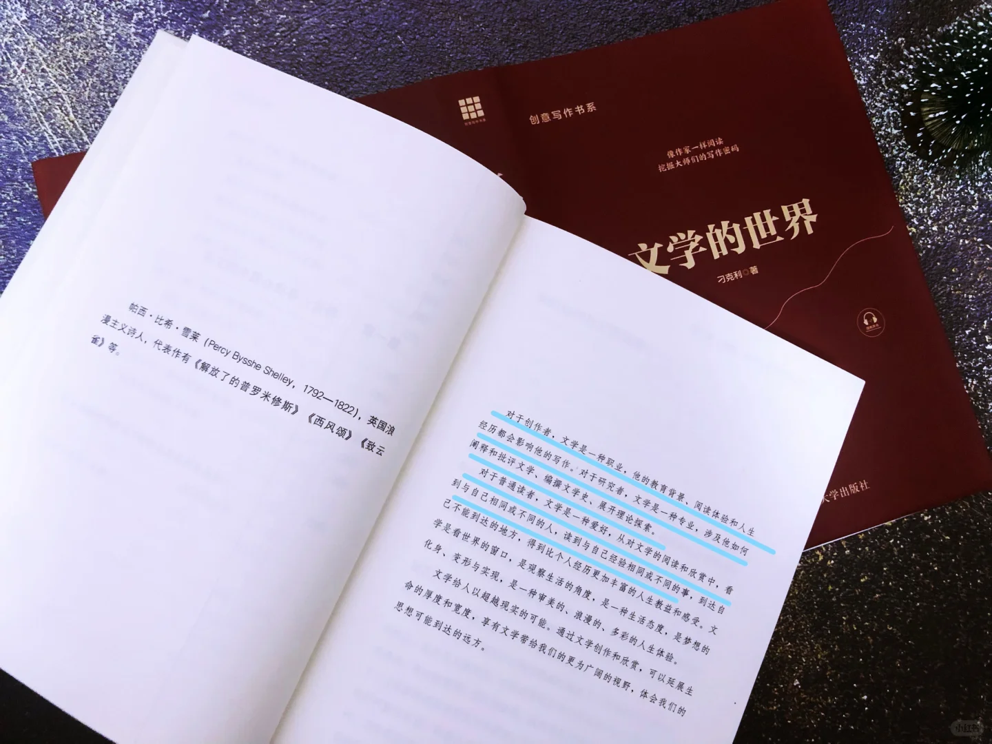 搭建文学体系认知|教你打造经典文学之作