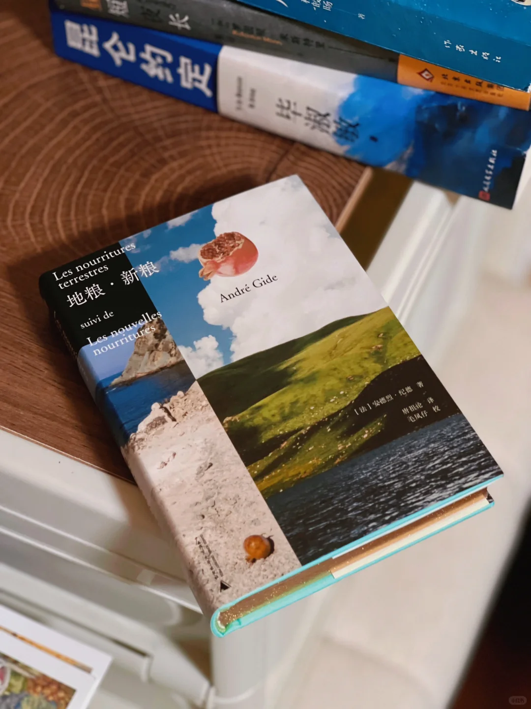 五月比较喜欢的几本书，每本都巨好看！