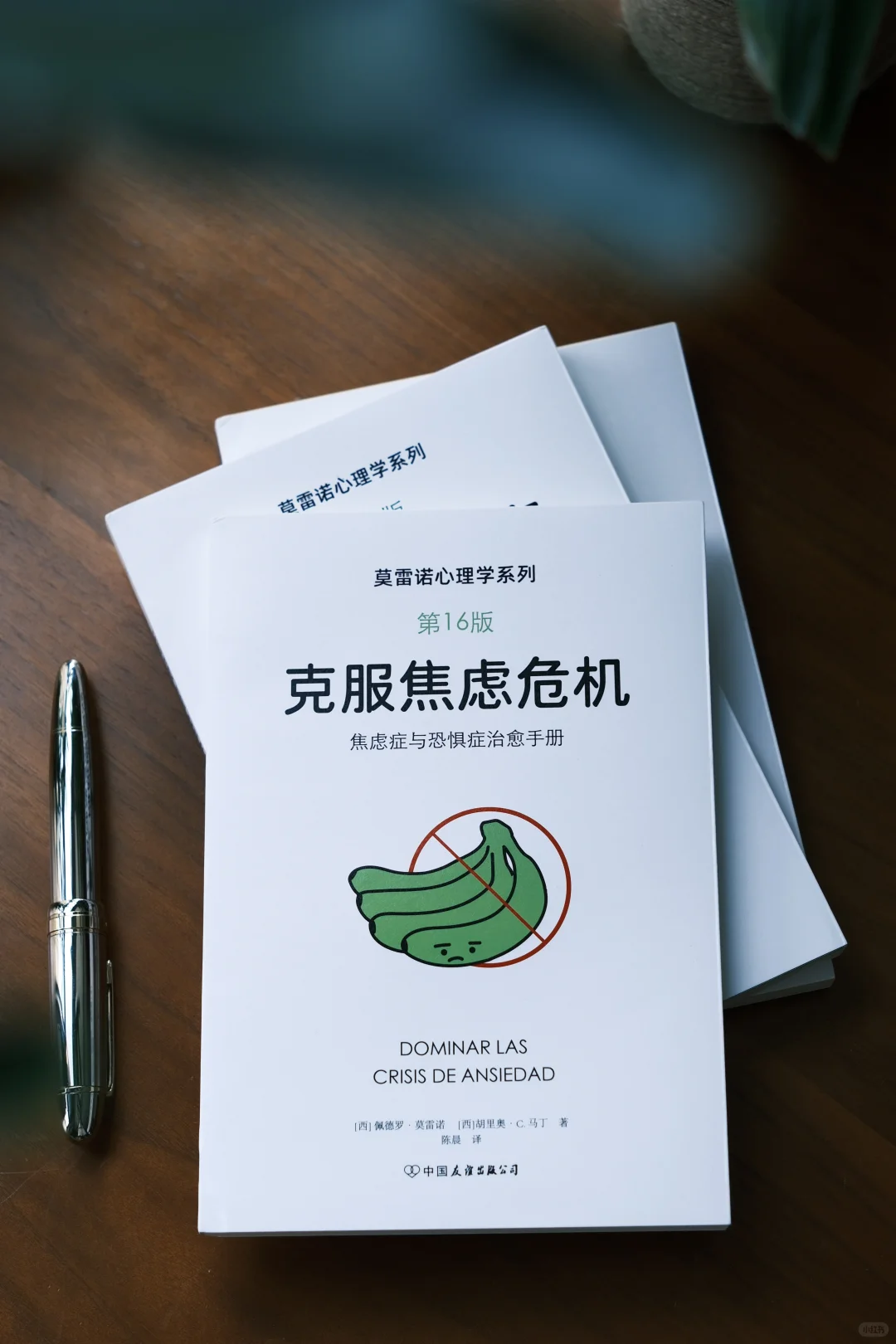 新书推荐｜《克服焦虑危机》