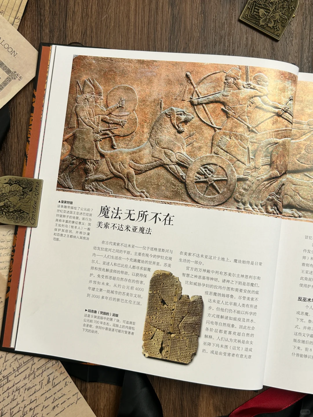 神秘学爱好者的灵性指引书安利！！