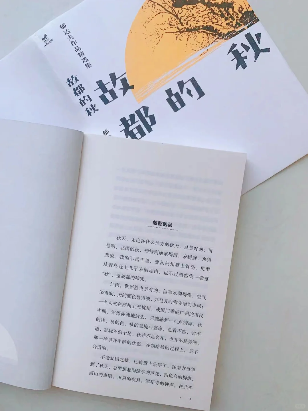 与鲁迅比肩的文学天才，值得一读再读