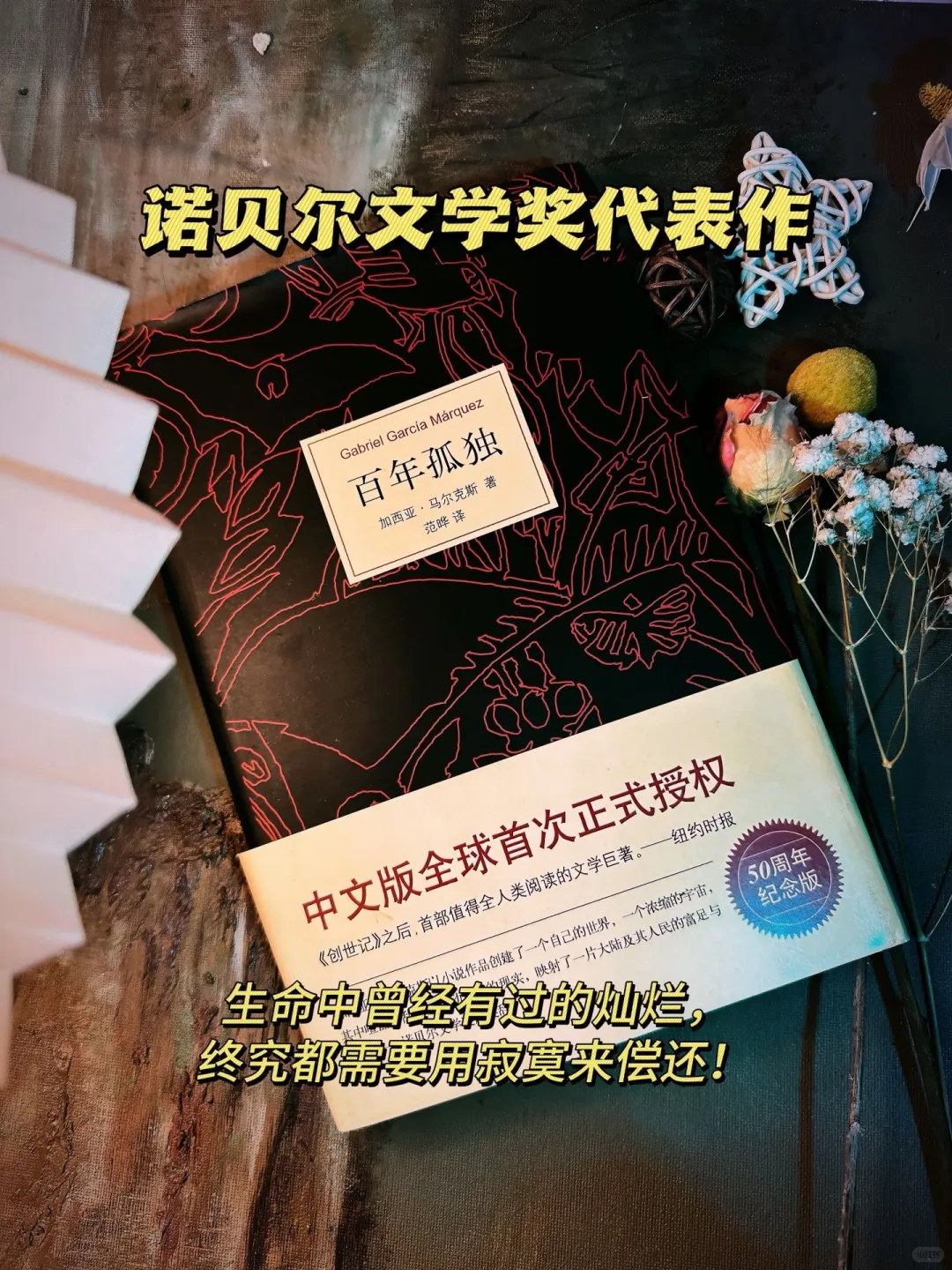 百年孤独：雨果文学奖获奖作品