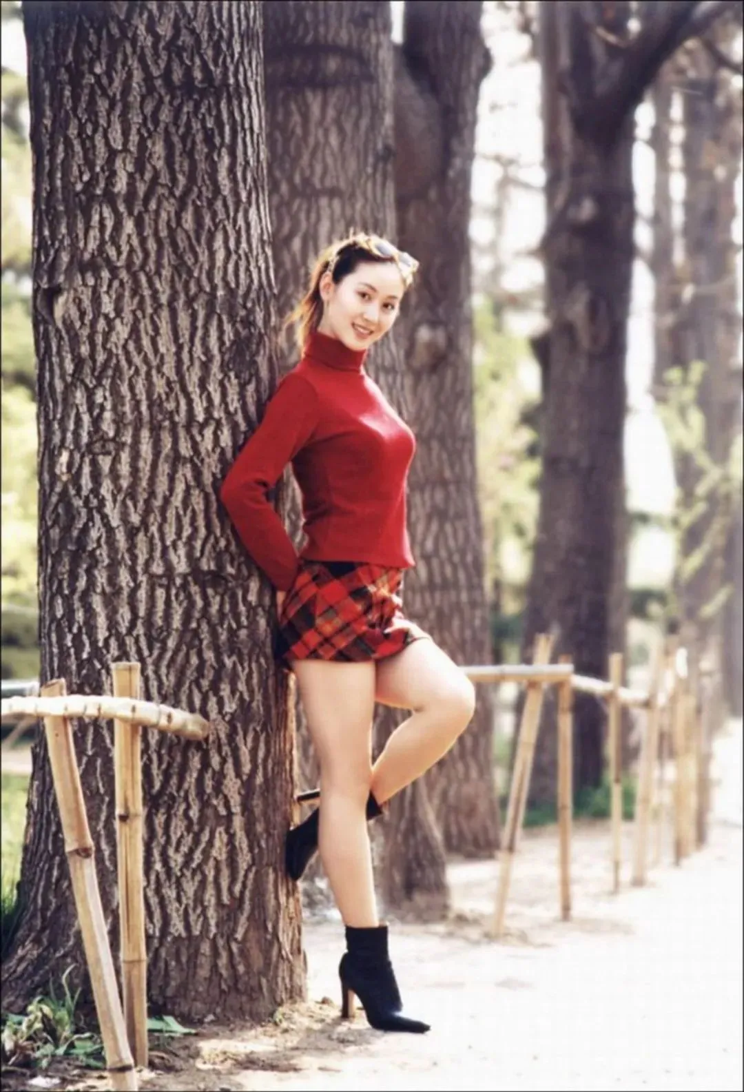 汤加丽写真，代找绝版电子书