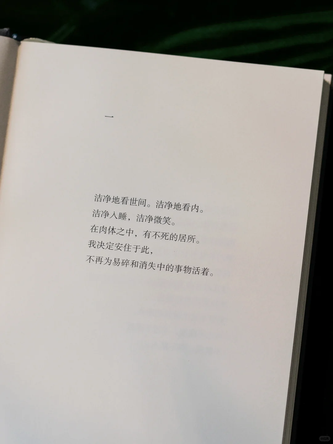 “当我清白，我会写诗” 丨庆山新书上市