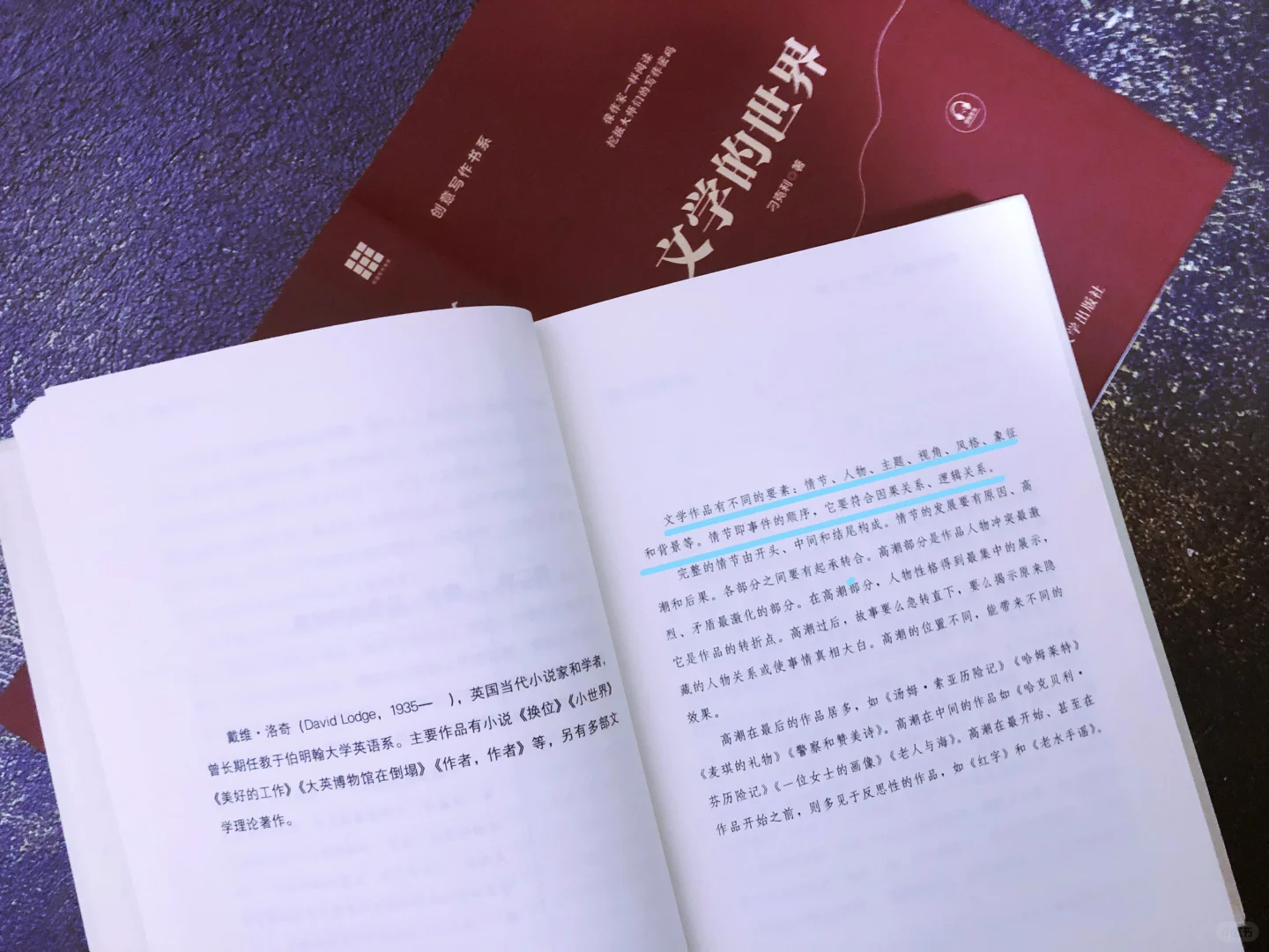 搭建文学体系认知|教你打造经典文学之作