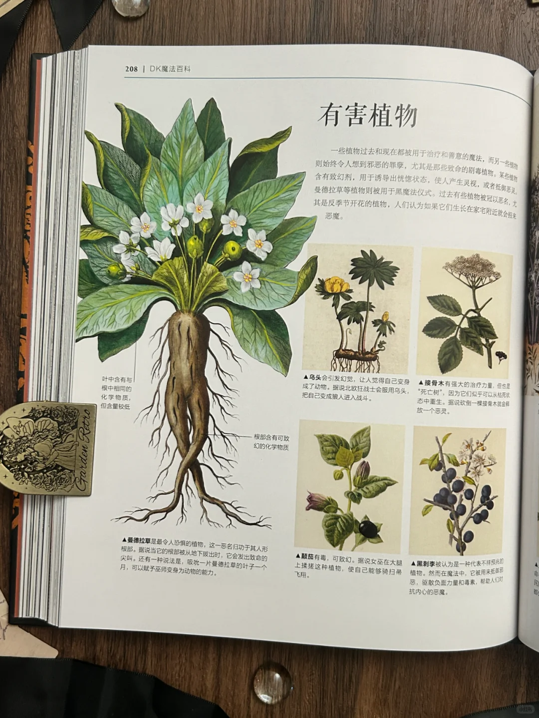 神秘学爱好者的灵性指引书安利！！