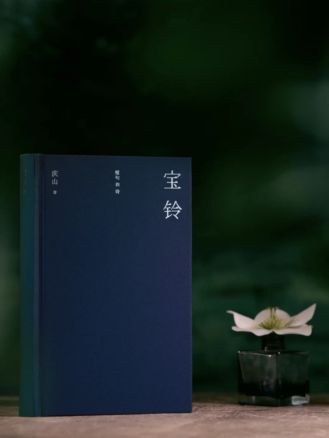 “当我清白，我会写诗” 丨庆山新书上市