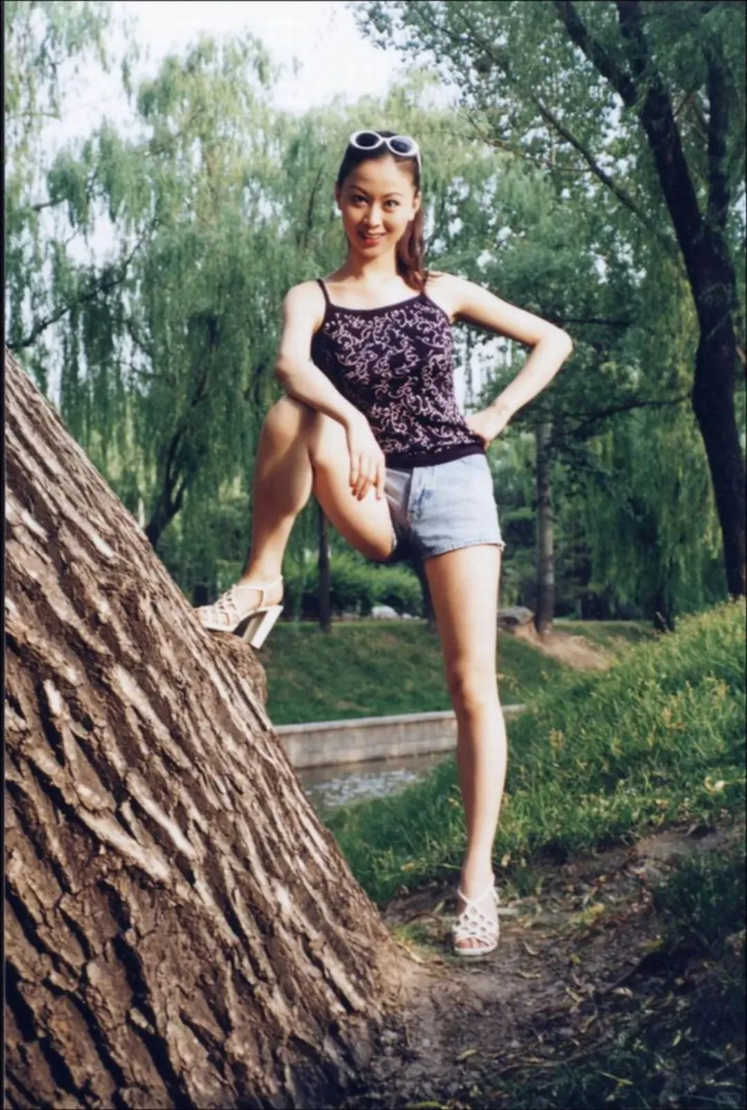 汤加丽写真，代找绝版电子书
