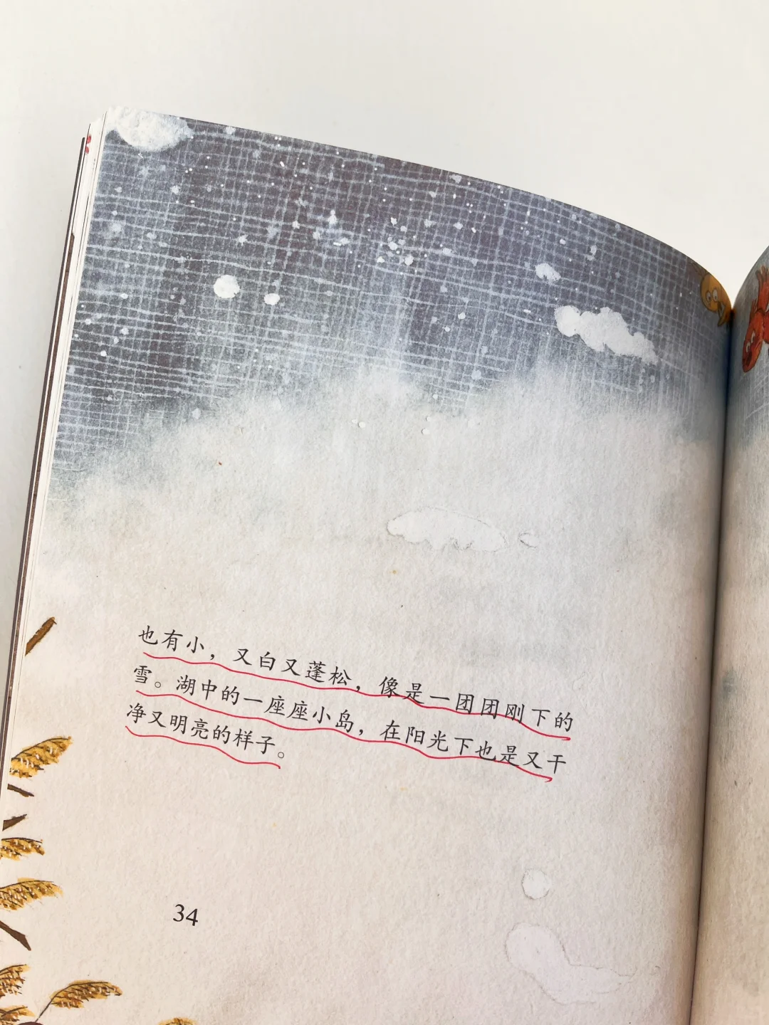 强推《鸭蛋湖系列》，送给二年级娃提写作能力