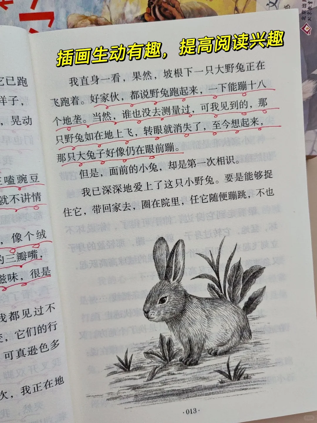 暑假精读，孩子写作飞跃！🎁