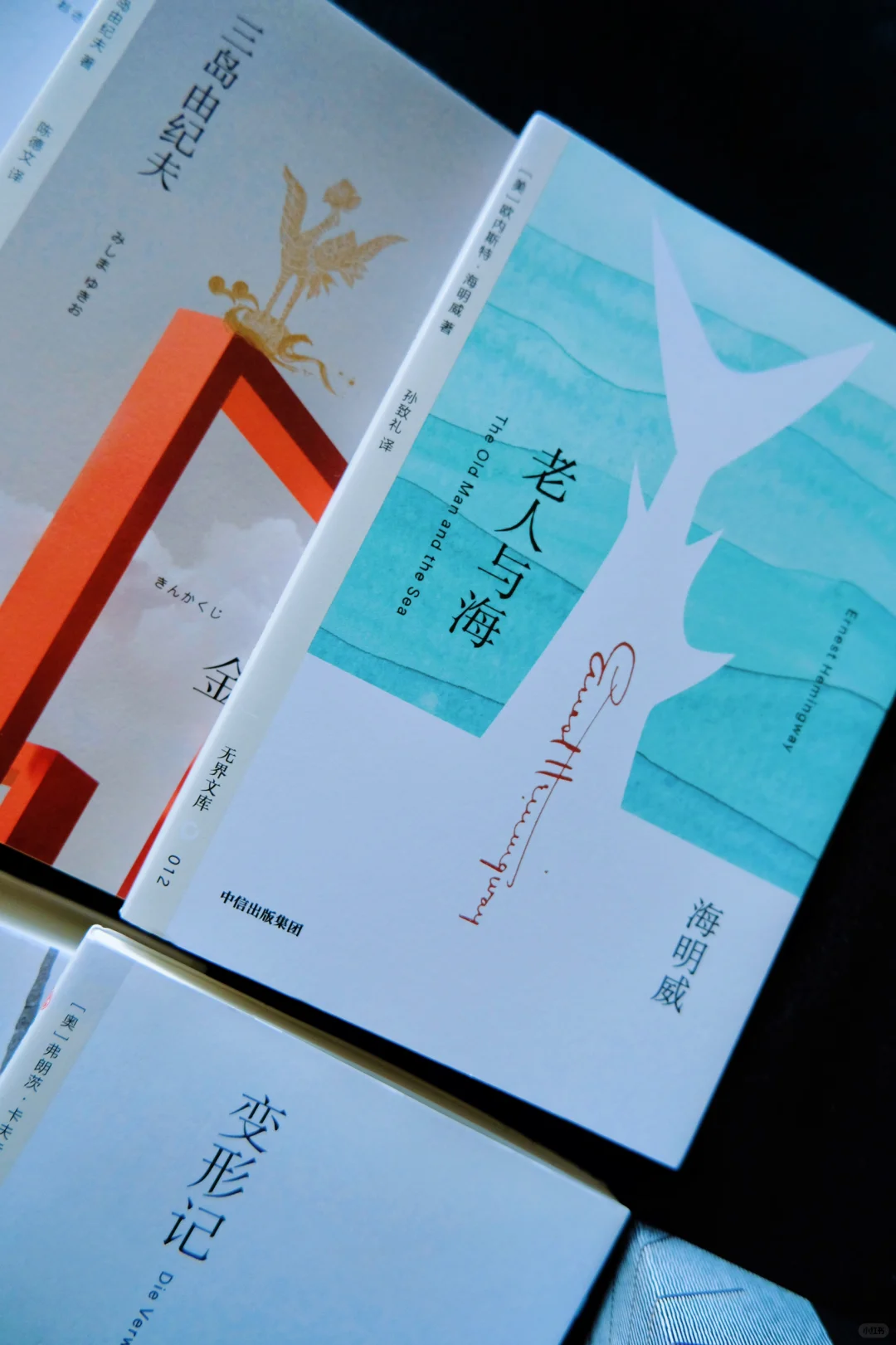 我发现 读经典文学真的可以长脑子