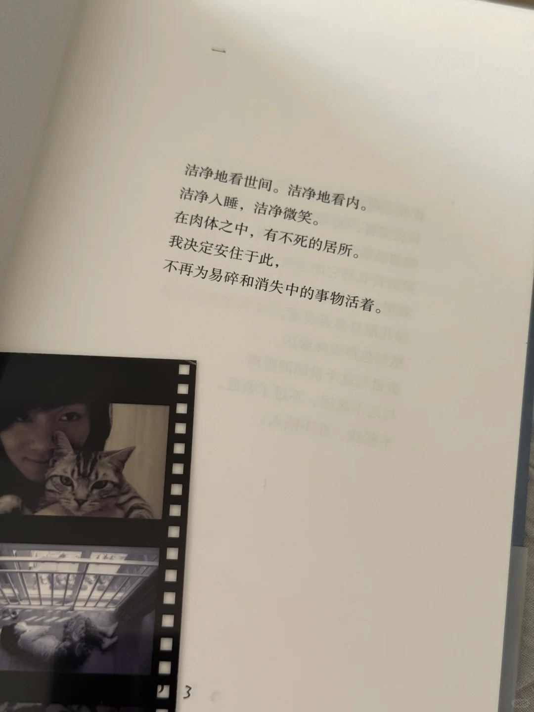 她的新书