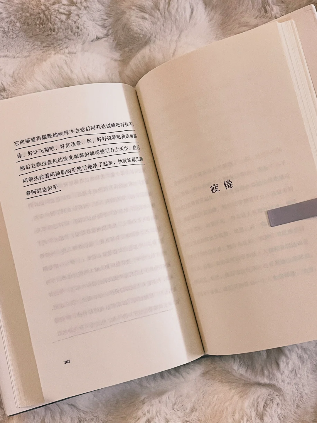 获2023诺奖的北欧文学，有种神性般的清冷