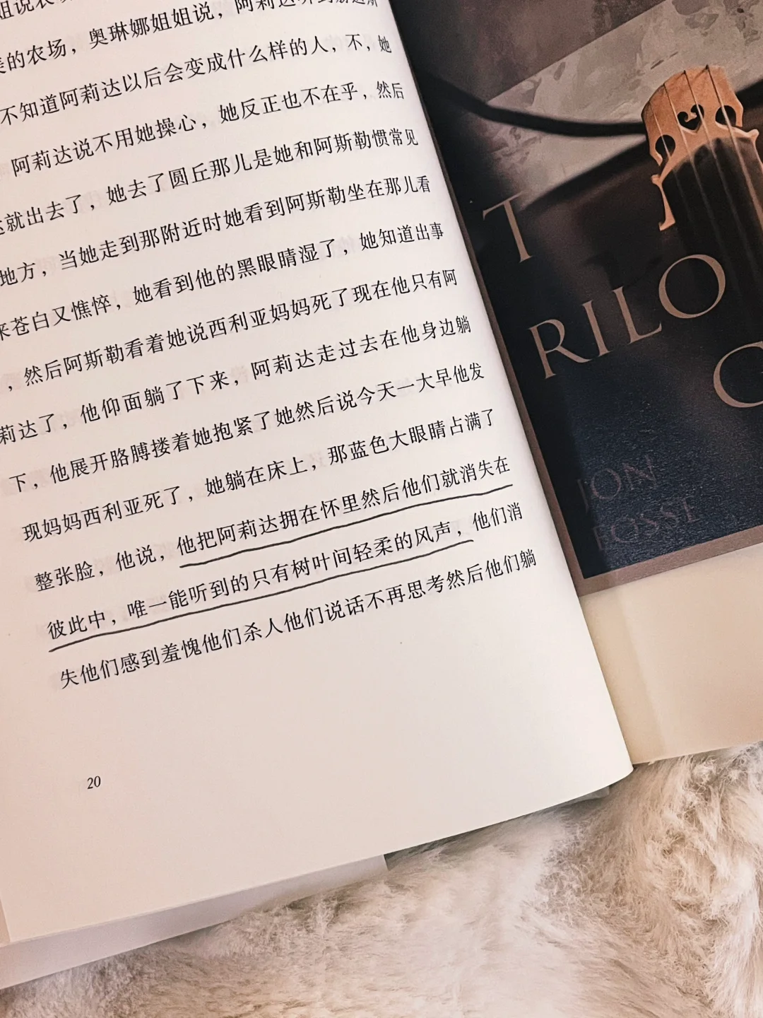 获2023诺奖的北欧文学，有种神性般的清冷