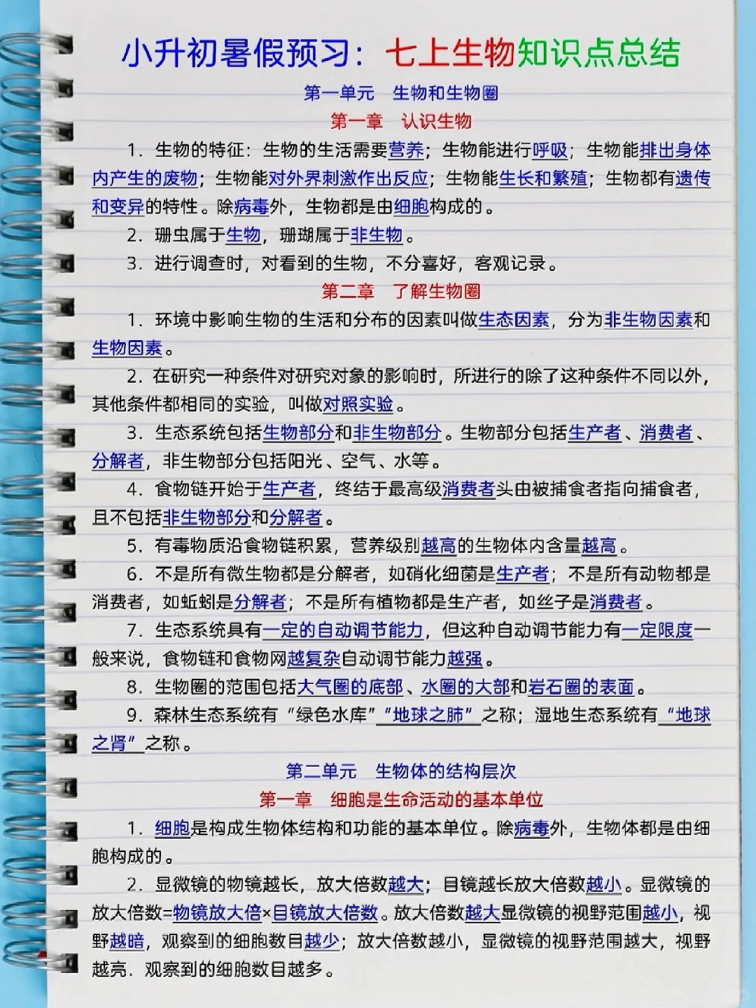 小升初暑假好好安排，开学另眼相看！