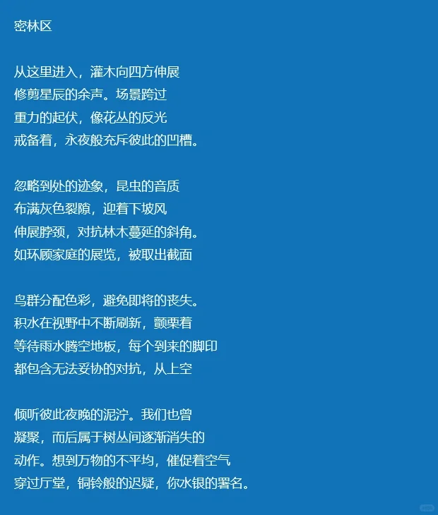 这首诗让我成为华语大学生短诗大赛年度诗人