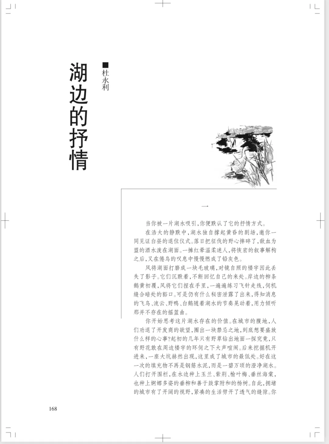 一篇关于第九期《湖边的抒情》的真切简评